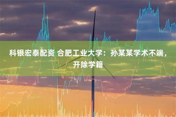 科银宏泰配资 合肥工业大学：孙某某学术不端，开除学籍